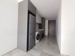 Affinity At Serangoon (D19), Apartment #572694771